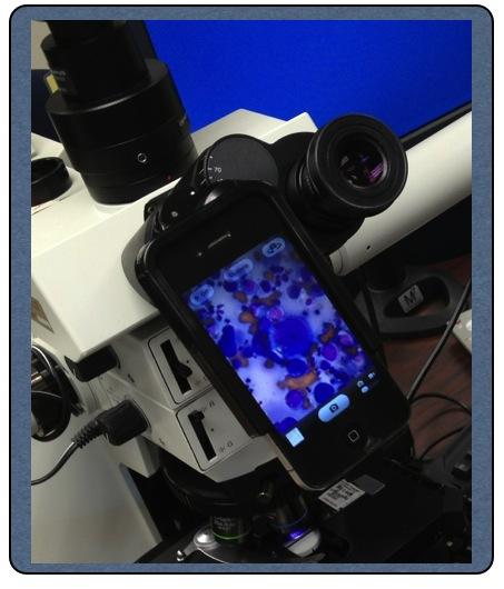 The UPMC Digital Pathology Consultation Portal utilizes Whole Slide Image (WSI) technology and accepts various forms of digital images and files, including glass slides and images from most digital