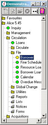 Borrower Click the File folder under Circulation, then double-click Borrower. All standard borrower information is stored under the first two tabs.