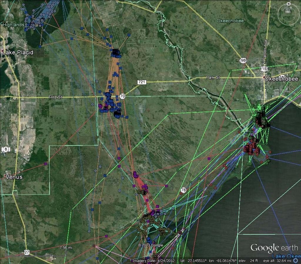 GPS fixes for 7 Snail Kites northwest