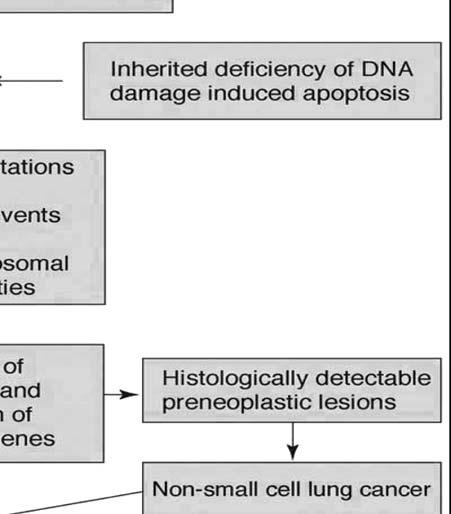 If DNA lesions are overlooked by the cellular defense
