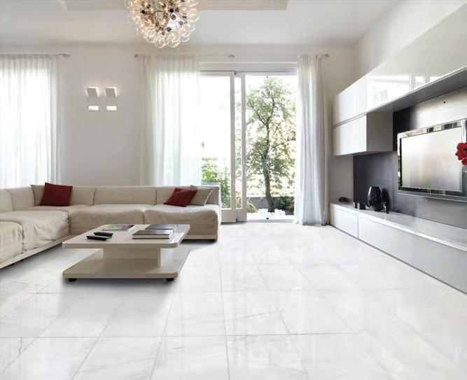 SNOW WHITE POLISHED MARBLE COLLECTION Floor / Wall Tiles Product