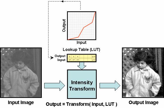 The key in all these cases therefore is to know how we can obtain an LUT (the theory behind it) to meet a desired end result. Figure 3. Intensity Transformation: Contrast Stretching 3.