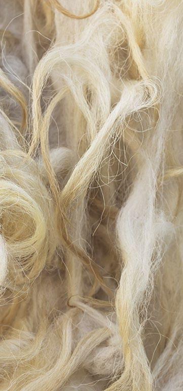 Anatomy of Wool Wool is a complex fibre composed of proteins that provide it with flexibility and superior performance