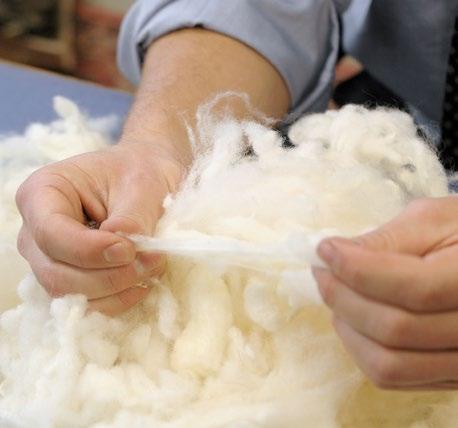 Elasticity Elasticity is the ability of wool to return to its original form after having been forced out of shape by pressure.