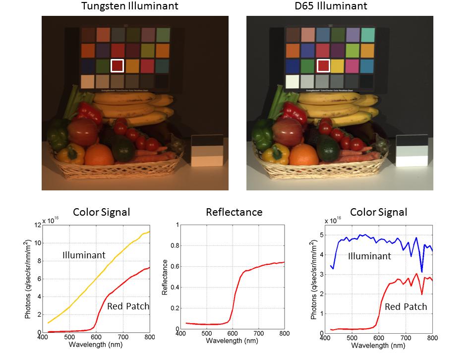 Figure 1. Hyperspectral image of a simple test scene. The image on the left shows the still life scene rendered under the studio tungsten lamps.