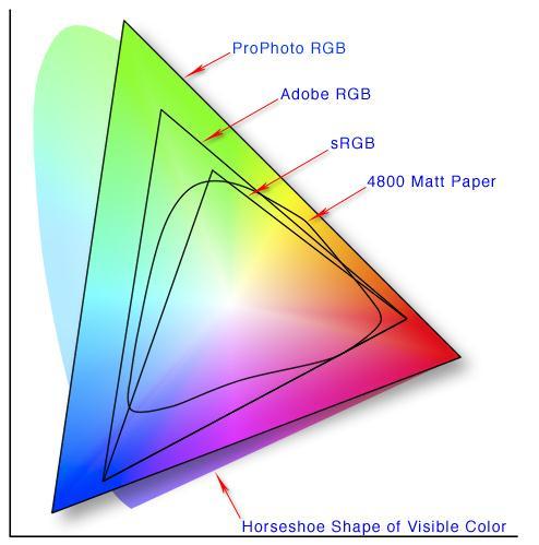 Page1 Adobe RGB (1998) vs. ProPhoto RGB Are you getting maximum quality in your images and prints? The answer is probably not! Why? Read on.
