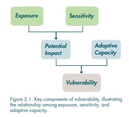 Vulnerability Assessments Which ecosystems or species are most vulnerable? Where? Set conservation priorities Why are they vulnerable? What can we do about it?