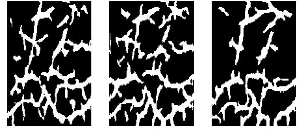 Figure 9 shows images of a palm captured at different times, where the image quality is bad. Fig. 8.