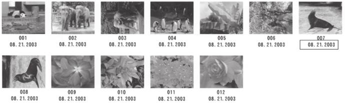 Setting Date Printing Enabling this setting will print the date, recorded by the digital camera, below each thumbnail on an index or on the bottom right of the photograph.
