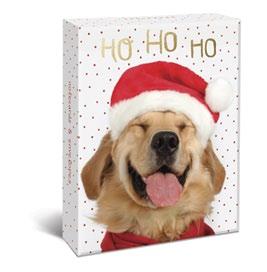 HOLIDAY ASSORTED BOXED CARDS 7 2016 Melsy