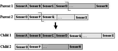 3 & $ & Fig. 5. Problem representation for a team of sensors. Fig. 6. Inter-gene level crossover operation.
