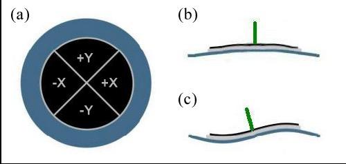 For x-and y-axis positioning (in the sample plane), coarse movements are accomplished with the stage micrometers, and fine (several micron) movements are attained using the piezo disk. MIT.