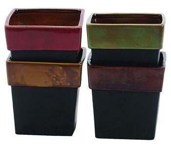 Assorted Color Rim Rose Pots 2 Sizes L17 27291 5 x 4
