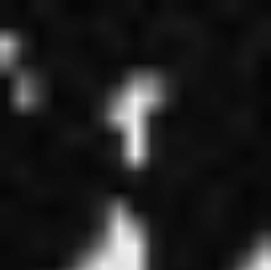 4: Optical and ultrasonic images of different gestures features [14]. Although the CNN features capture depth in space, they do not capture depth in time.