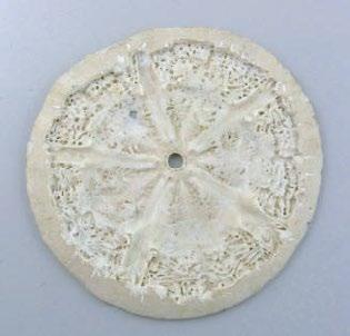 SAND DOLLAR PENDANT Make a metal clay impression from a beachcomber s find PROJECT BY HADAR JACOBSON Project photo: JIM LAWSON When I first tried to make a mold
