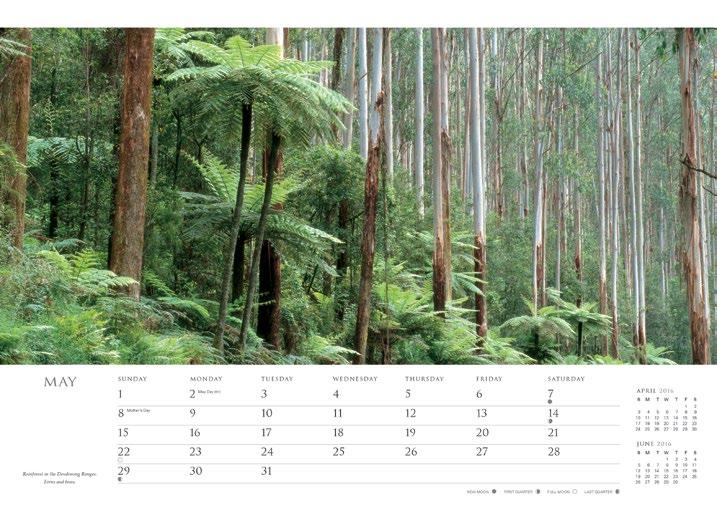 Panoramic Calendar. showcases Steve Parish s classic landscape photography. premium quality format, paper, print and finish spiral bound for easy use.
