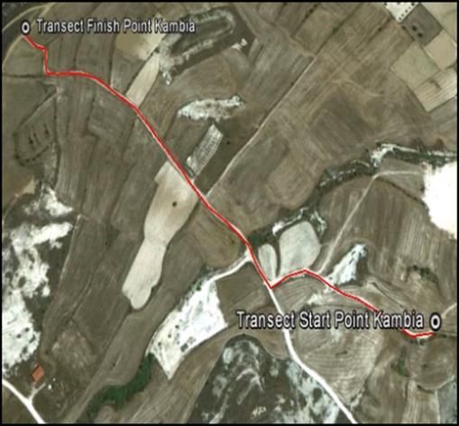 CBMS Survey methodology: Within each 1x1km sampling plot, a track is chosen for a walked line transect bird survey.