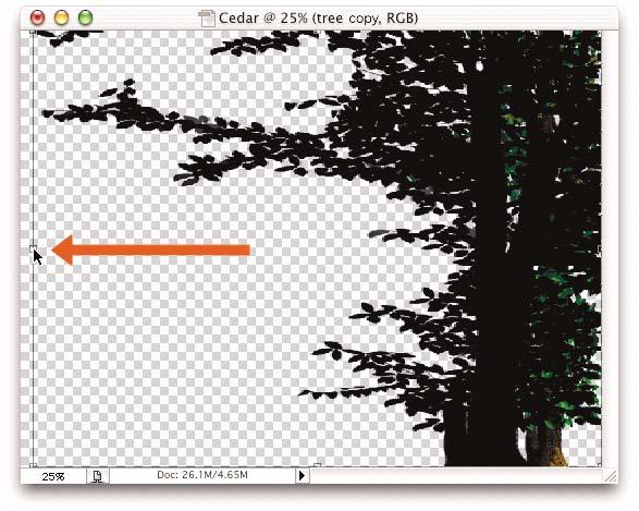 Because the tree exists on a transparent layer, with Preserve Transparency turned on, when you select Edit>Fill, only the tree is filled. This black fill serves as the basis of the shadow (Figure 32).