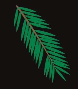 The dark green branches are between you, the viewer, and the light source. The dark needles on the branches in the front have a slightly lighter-colored edge to them.