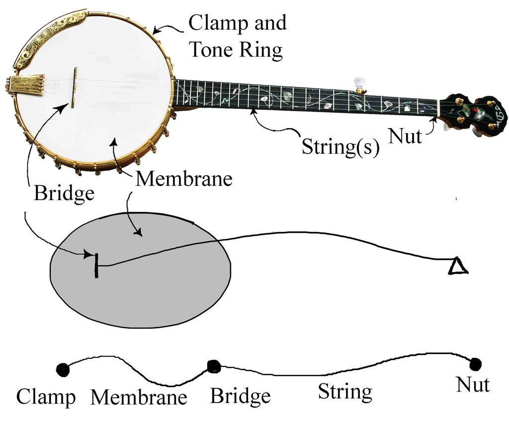 etc. on the waves in the string and head but did not consider the reverberation of waves within them. Why do we go to so much trouble to model the banjo?