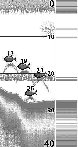 Understanding the Sonar Display It is important to understand the significance of the display. The display does NOT show a literal 3-dimensional representation of what is under the water.