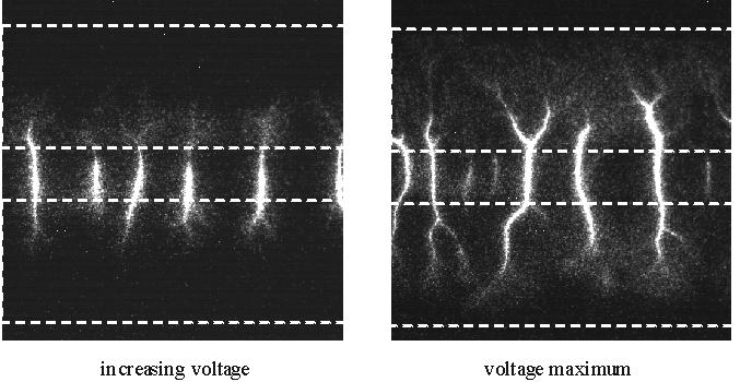 footprints of microdischarges in VD arrangements [2, 4]. In Fig. 8 photographs of CDs are shown of an arrangement with 2 mm electrode distance, however, with electrode widths of 8 mm.