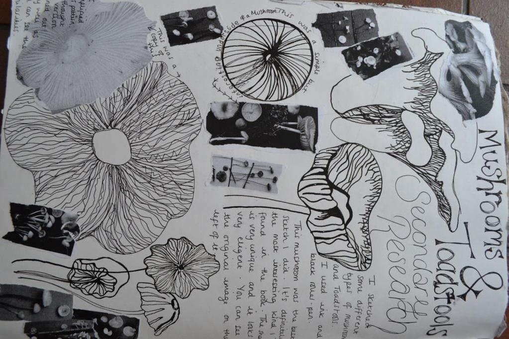 The students has looked at a book of toadstools and used the photographs as