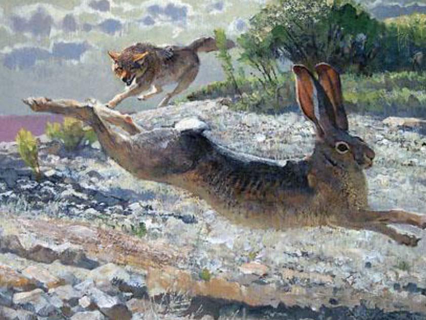 Clouds (S) Wolf (S) Rabbit running in rocks (P) Brush (S) Challenge your students to use multiple sources.