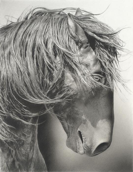 Photo of horse in arena (P) Challenge the hues of black & whites with charcoals and graphite.