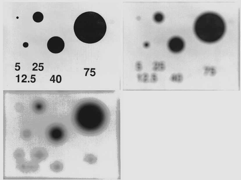 46 Merklinger: THE INS AND OUTS OF FOCUS FIGURE 19: The appearance of black dots of various sizes convolved with a disk-of-confusion. At top left is a sharp print.