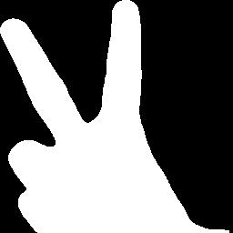 We store different hand gesture of one type to
