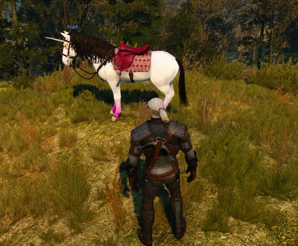 callwcc_litemetadatastore-path=f:\mods\unicorn\packed\modunicorn\content\ 3.6 Adding the mod to the game The last step is to add the generated mod to the game.
