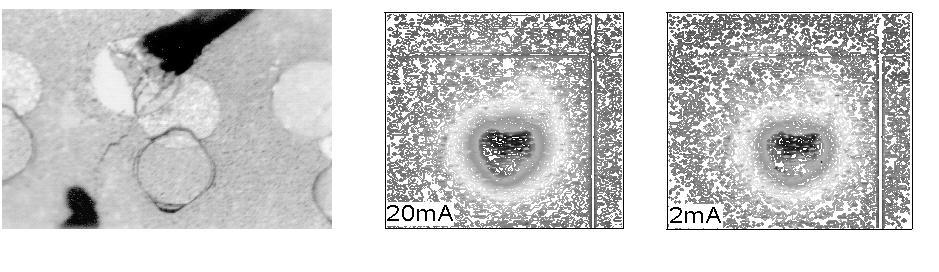 A full processed 3 GaAs wafer with 31 arrays of 256 x 320 pixel with a pitch of 30 µm is shown in fig. 6. On each pixel an indium solder bump of 13 µm diameter is formed.
