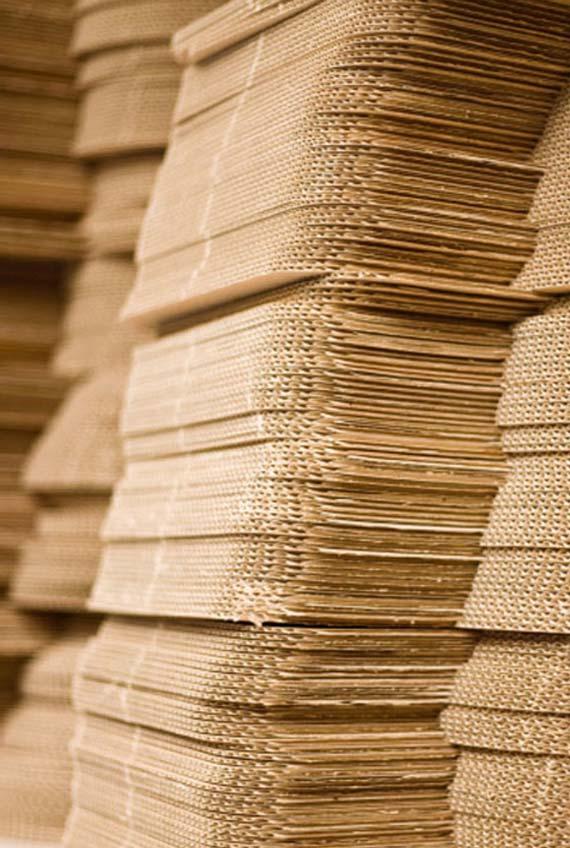 Developments and Outlook for Wood Pulp Production in Asia and the World