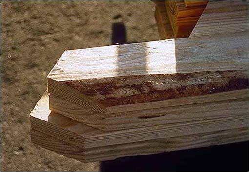 Defects in Lumber: Wane Defects in Lumber: