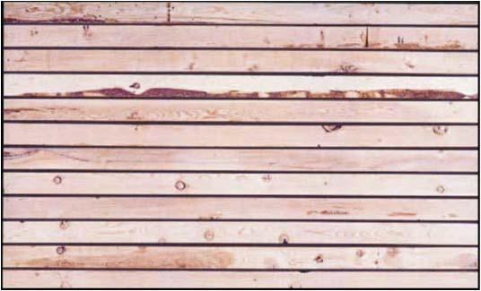 Grades Designated by F b and E Machine Graded Lumber Bending