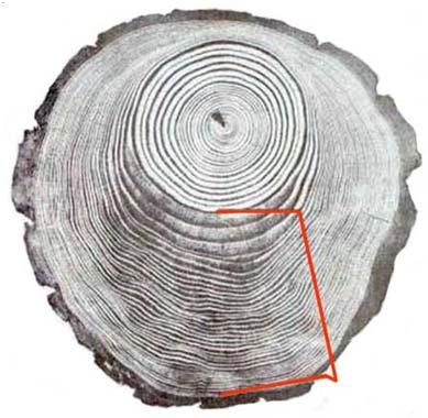 Wood Lower density Lower strength