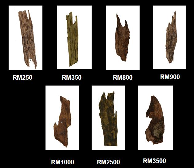 Figure 1 Seven different samples of agarwood images. The agarwood images were acquired using Nikon D00 CCD camera with the setting of ISO 00, 5mm focal length and without flash.