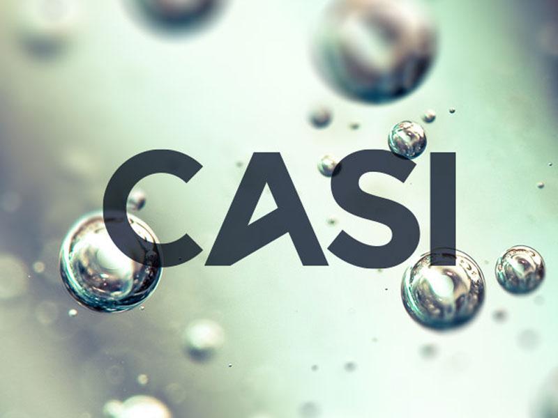 CASI - Public Participation in Developing a Common Framework for Assessment and Management of Sustainable Innovation Engaging citizens and