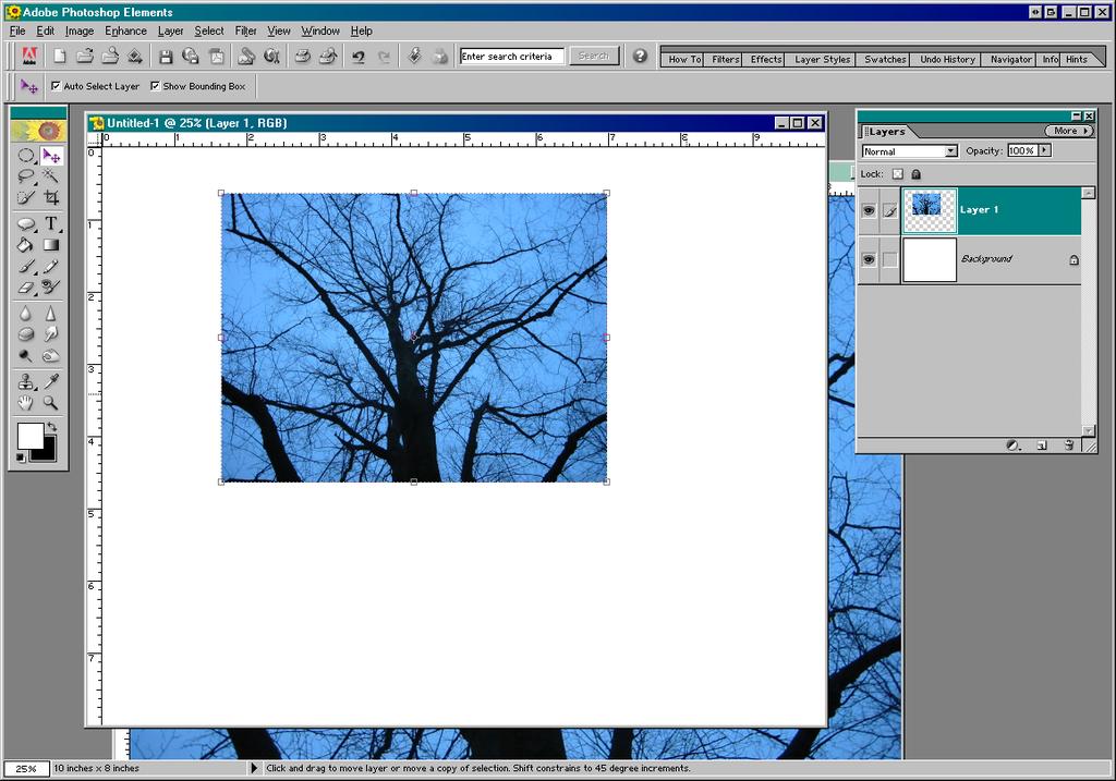 Click the left mouse button and hold it down on the layer called Background in the layers window (it should have a thumbnail image of a tree on it).