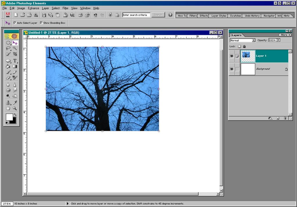 Resizing the Photograph to fit the Canvas Now we need to fit the photograph to the new window size of 10 x 8 inches. We can do this by using the Move Tool.