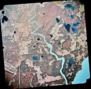 Figure 5. Medium resolution aerial photography, Kenai, AK (Jan Johnson). Left: scanned, registered image at 1:30,000. Right: full screen image at 1:7,000.