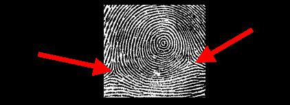 Fingerprint Impression Types There are two types of impressions involved in taking fingerprints.