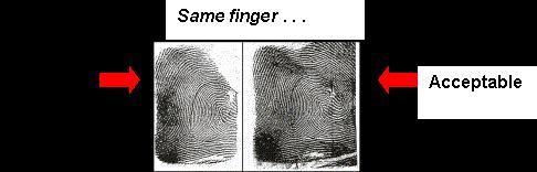 Are the fingerprint impressions uniform in tone and not too dark or