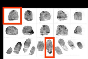 Please Note: If using live scan equipment to capture fingerprint