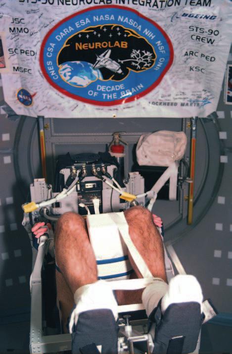 When supine on the centrifuge arm, centrifugation was directed along the vertical axis of the astronauts' bodies.