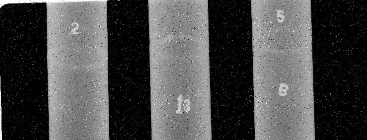 Digital pipe radiograph(dwdi) obtained from Computed Radiography machine Brightness/ Contrast Adjustment 3x3 Median low pass