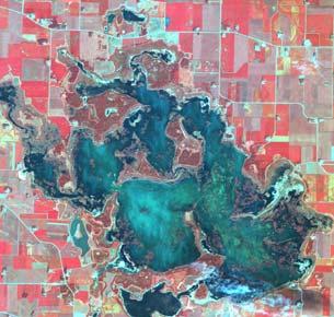 5. Aquatic Vegetation Mapping IKONOS High Resolution (4-meter) Satellite Imagery Swan Lake, MN Numerous sources of digital imagery Landsat.