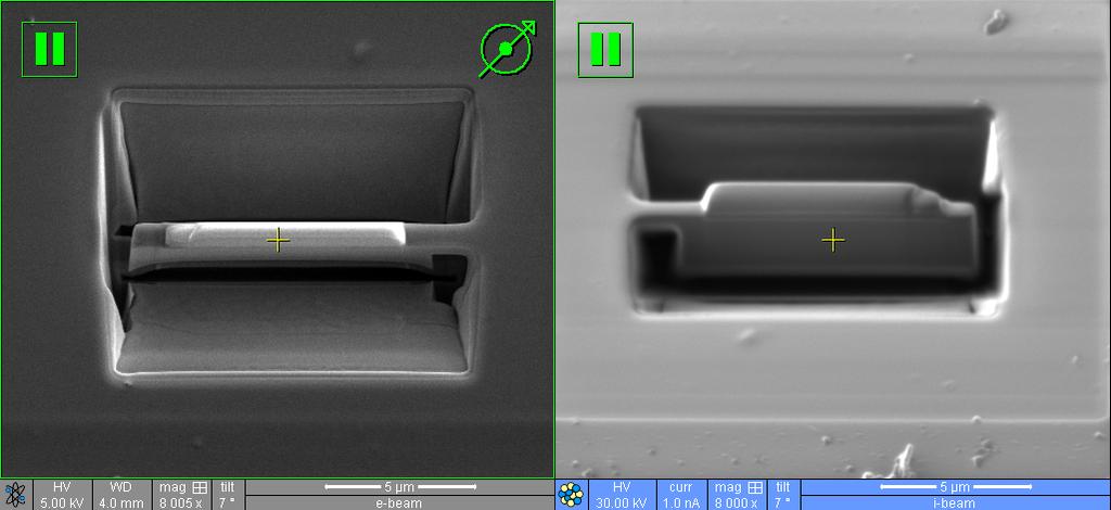 Take I- beam snapshots and adjust the Y beam shift until the specimen is back within the field of view.