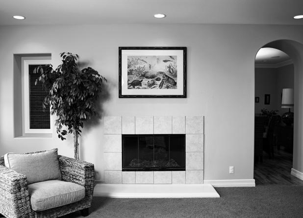 Fireplace Surround Installation Instructions STANDARD WOOD FRAMING ONLY Congratulations on selecting an Eldorado Fireplace Surround!
